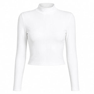 Ribbed Mock Neck Crop Top WHD0606338-JYTC015