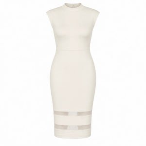 Mesh Hem Bodycon Dress WHD0606438